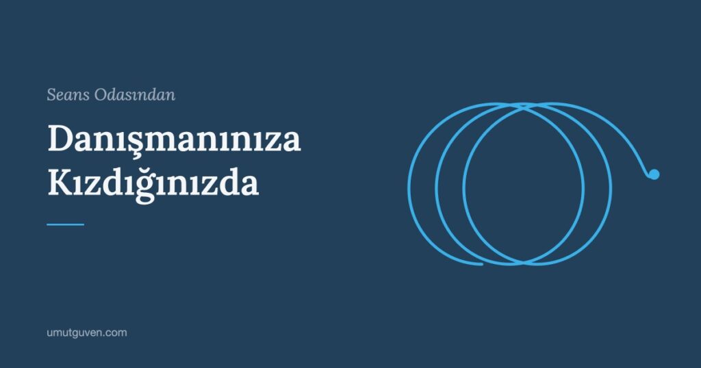 Danışmanınıza Kızdığınızda yazısının kapak görseli